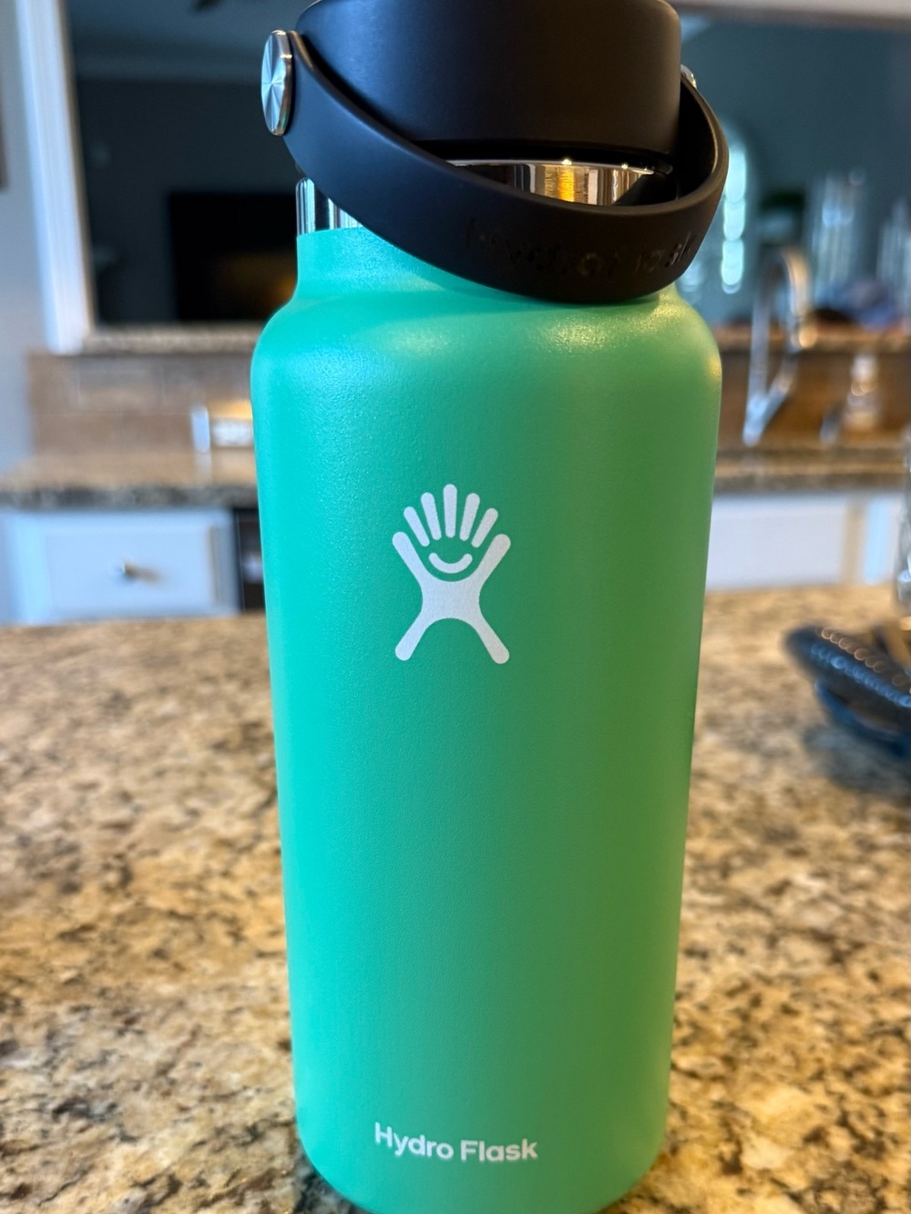 Hydro Flask Wide Mouth Bottle in Seafoam Green with Black Flex Cap